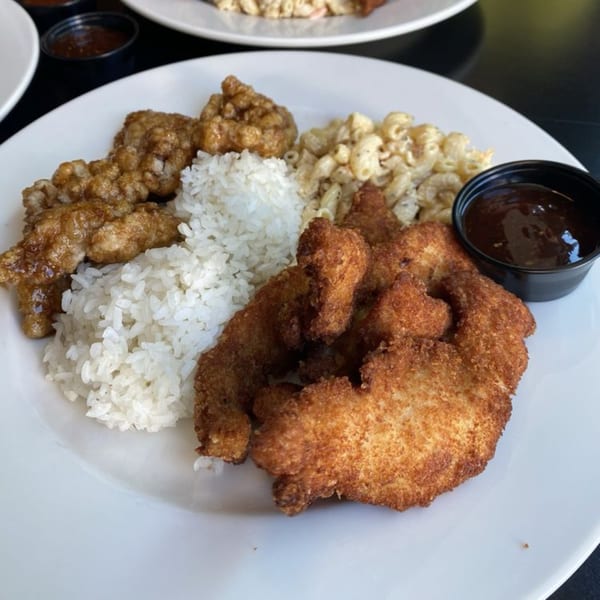 A plate of Wild Duck Cafe's fried chicken, rice, macaroni salad, and a side of BBQ sauce.